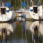 Picture Of Kaleidoscope