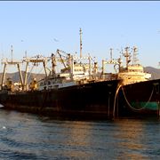 Picture Of Old Large Ships