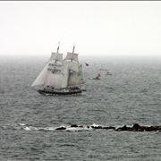 Picture Of Ships At Tall Ships Festival